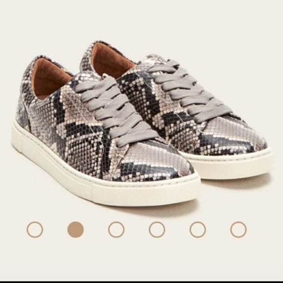 Frye Shoes - FRYE Ivy Rare Low Lace Snakeskin Italian Leather Sneakers, Size 9.5